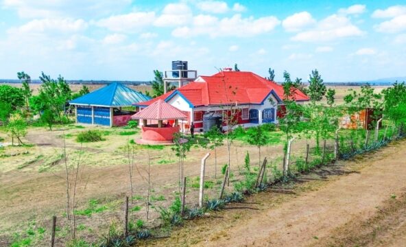 Juja Farm