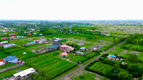 Juja-Farm8